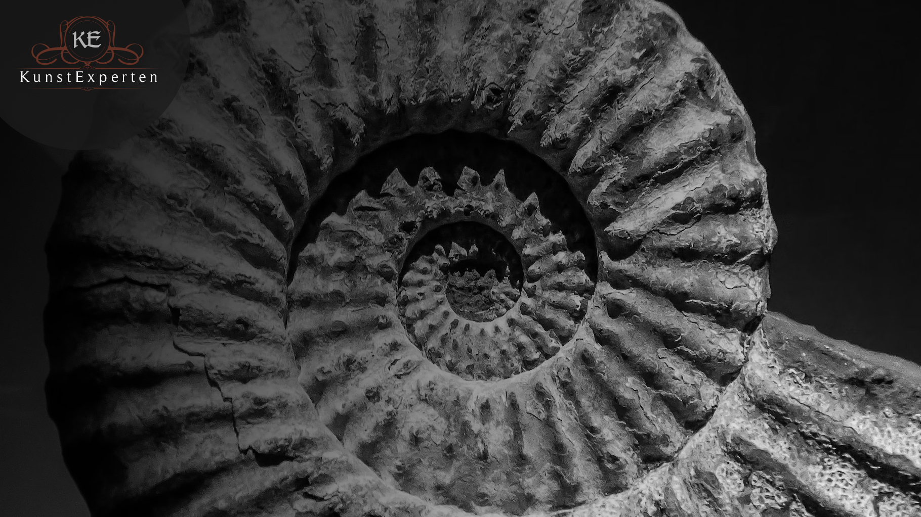 Zuverlässige und präzise Datierung