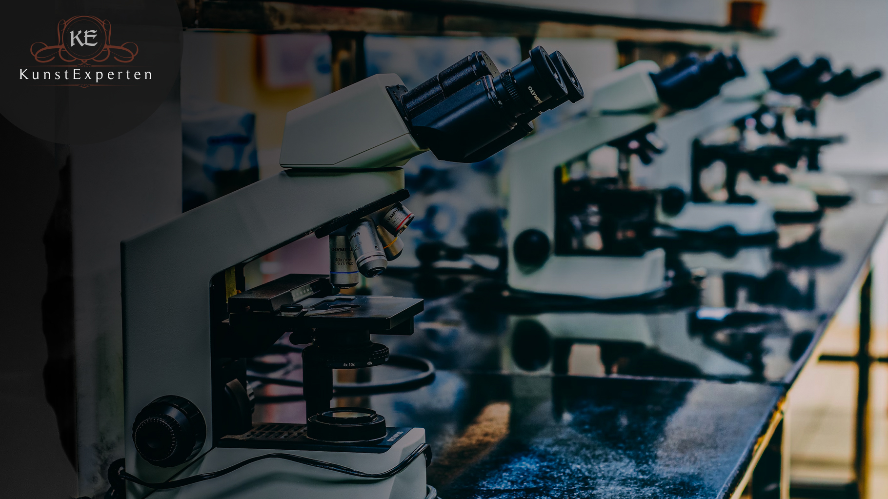 Kohlenstoffdatierung Ihrer künstlerischen Werke